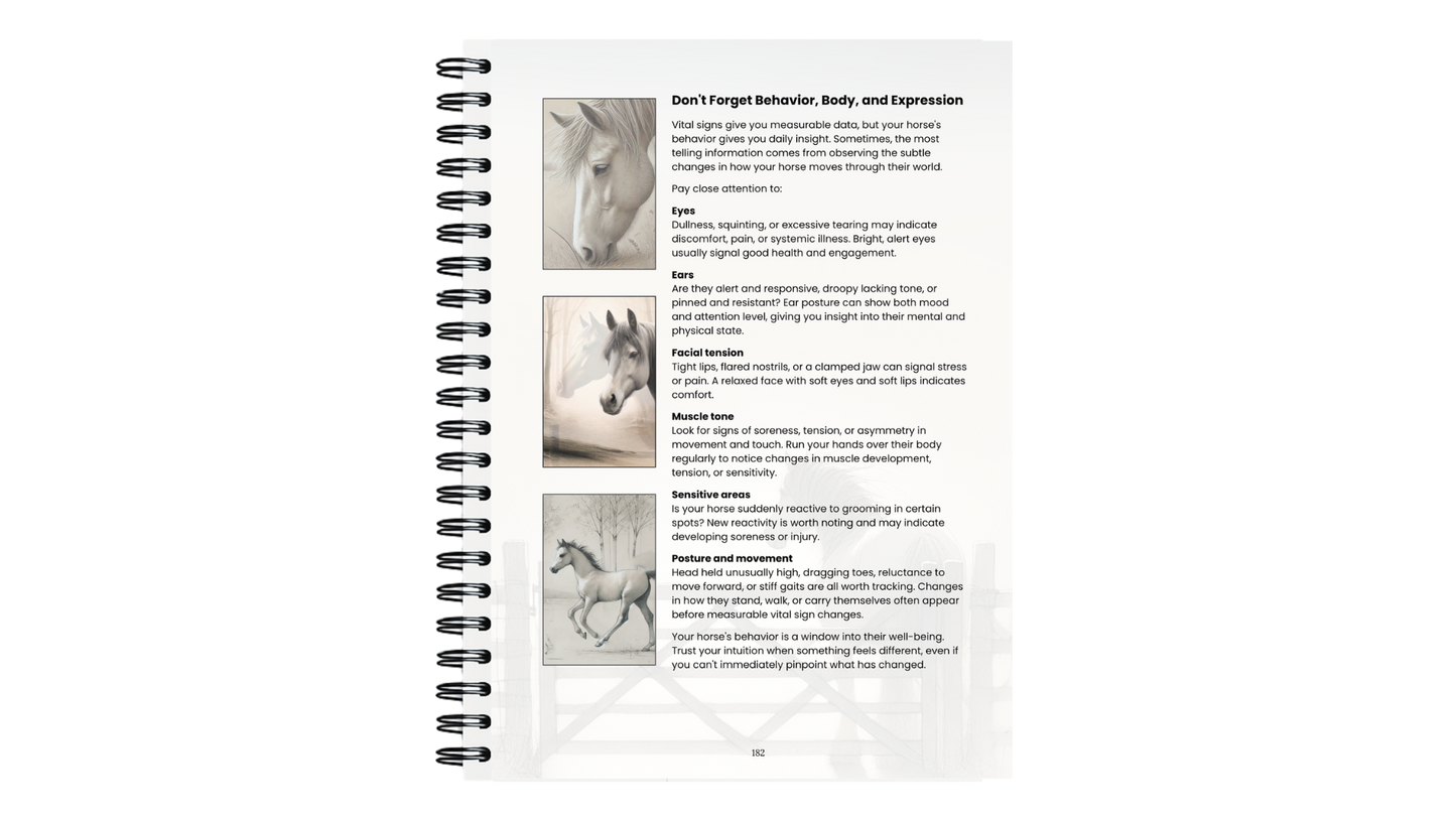 Because of the Horse Journal