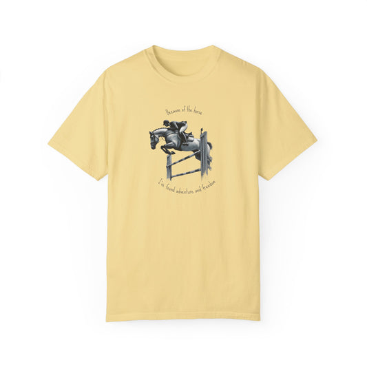 "I’ve found adventure" - Garment-Dyed T-shirt