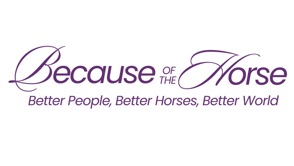 Because Of The Horse